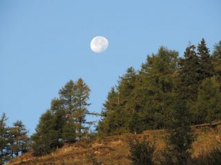 Luna piena