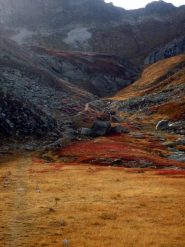 ecco la nostra discesa...