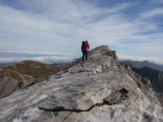 quasi in cima