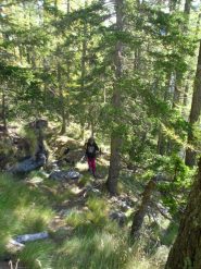 la traccia quasi  invisibile nel ripido bosco....