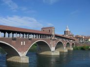 Pavia