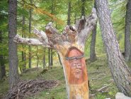 ...artisti del bosco.....