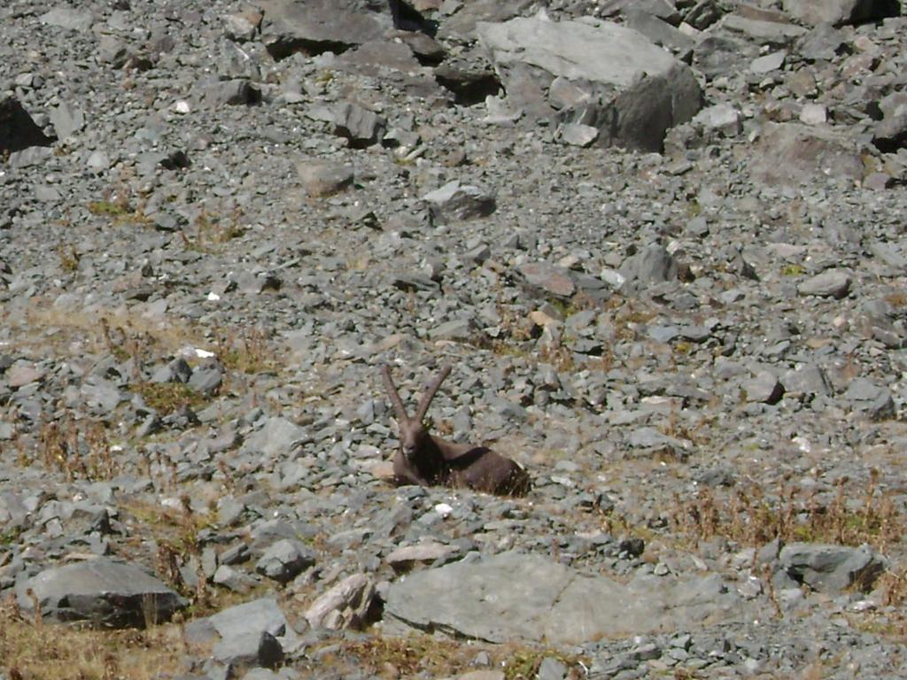 ultimo sole prima del lungo inverno