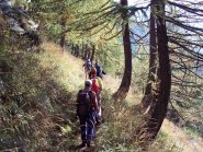 Nel bosco