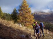 Primi colori di autunno