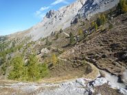 uno sguardo indietro....