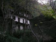 Zambranch