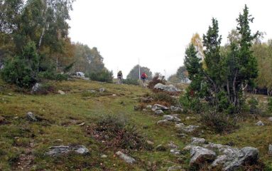 Scorciatoia verso l'alpe Freste