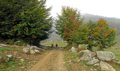Primi colori