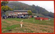 Arrivo all'alpe Freste