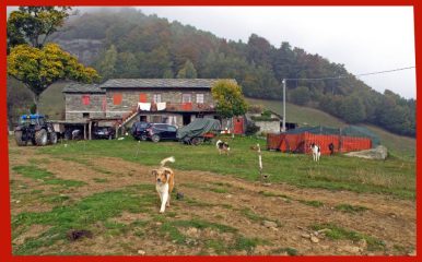 Arrivo all'alpe Freste