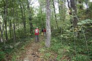Nel bosco iniziale