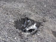 24 - neve rimasta sommersa dalle ceneri vulcaniche