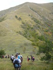 fuori dal bosco verso l a cima