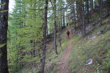 salendo nel bosco iniziale del Vallon des Houerts...01 (7-10-2012)