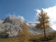 alta Val Flavona