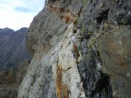 Traversi sulla Campia