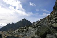 La cima delle Lobbie dal p.sso Gallarino