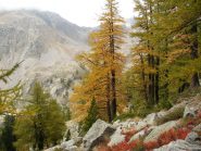 colori autunnali