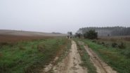  lungo la val Gana