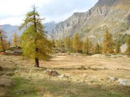 la valle dei Principi