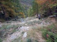 nel ripido canale erboso