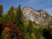 sempre bella d'autunno