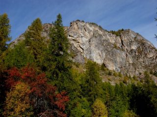 sempre bella d'autunno