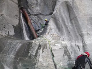 la calata C15