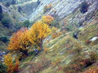 tra i colori intensi 