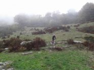 bella radura in discesa