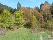 Colori d'autunno