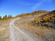 il clot in autunno