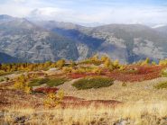 colori autunnali