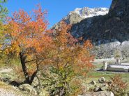 armonia autunnale al piano