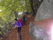 Nel bel bosco iniziale
