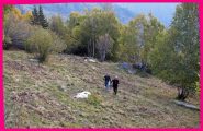 All'uscita dal bosco,quasi all'alpe Daia