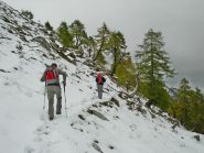 oltre il bosco, traccia nella prima neve 