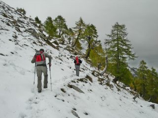 oltre il bosco, traccia nella prima neve 