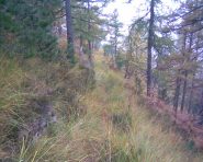 Autunno