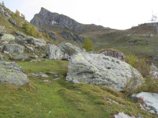 Verso l'Alpe Marmotta