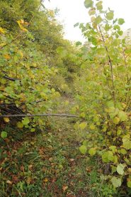 c'era una volta un sentiero