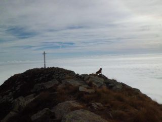 Punta Sud