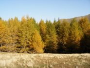 autunno