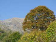 La massima vetta del Vallone di Codebiollo, la Punta della Mionda