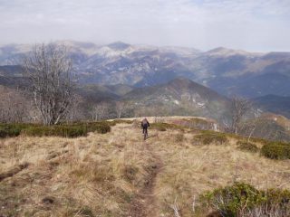 verso il colle del Gerbido