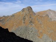 punta di malanotte dalla cristalliera