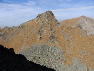punta di malanotte dalla cristalliera