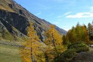 autunno