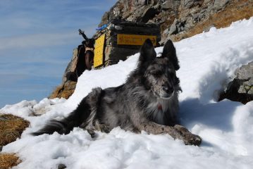 Frank al Passo d’Ameran, naturalmente sulla neve.
